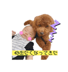 ほったんほったん（個別スタンプ：3）