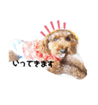 ほったんほったん（個別スタンプ：5）