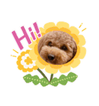 ほったんほったん（個別スタンプ：11）
