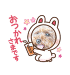 ほったんほったん（個別スタンプ：12）