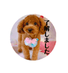 ほったんほったん（個別スタンプ：17）