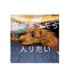 ほったんほったん（個別スタンプ：20）