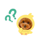 ほったんほったん（個別スタンプ：21）