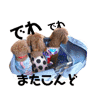 ほったんほったん（個別スタンプ：25）
