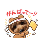 ほったんほったん（個別スタンプ：29）