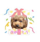 ほったんほったん（個別スタンプ：36）