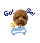 ほったんほったん（個別スタンプ：38）