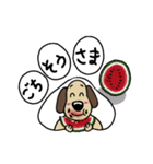 犬のじょんこ  ちょっぴり活躍！！（個別スタンプ：19）