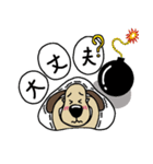 犬のじょんこ  ちょっぴり活躍！！（個別スタンプ：25）