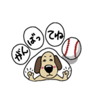 犬のじょんこ  ちょっぴり活躍！！（個別スタンプ：28）