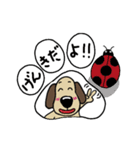 犬のじょんこ  ちょっぴり活躍！！（個別スタンプ：29）