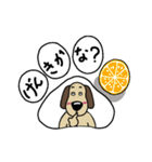 犬のじょんこ  ちょっぴり活躍！！（個別スタンプ：30）