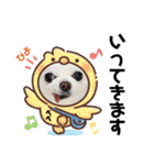 かわいいチワワのべべちゃん（個別スタンプ：5）