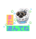 シュナウザー(ニコル2)（個別スタンプ：15）