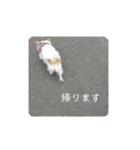 君に出会えて良かった（個別スタンプ：13）