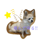 君に出会えて良かった（個別スタンプ：14）