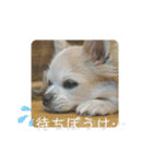 君に出会えて良かった（個別スタンプ：18）