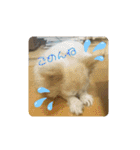 君に出会えて良かった（個別スタンプ：19）