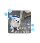 君に出会えて良かった（個別スタンプ：23）