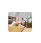 君に出会えて良かった（個別スタンプ：24）