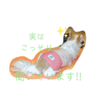 君に出会えて良かった（個別スタンプ：33）