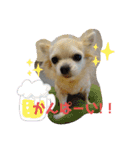 君に出会えて良かった（個別スタンプ：37）