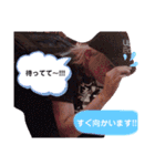 りゅうくんと愉快な仲間たち♡（個別スタンプ：40）