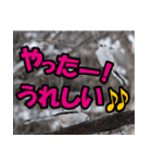 シマエナガ★笑福来（個別スタンプ：18）