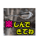 シマエナガ★笑福来（個別スタンプ：22）