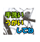 シマエナガ★笑福来（個別スタンプ：33）
