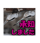 シマエナガ★笑福来（個別スタンプ：35）