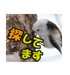 シマエナガ★笑福来（個別スタンプ：37）