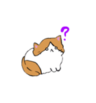 おばぎなねこ（個別スタンプ：7）