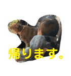 鼻は愛嬌の息子（個別スタンプ：10）