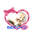 らぶふぁみ。。（個別スタンプ：15）