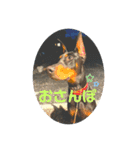 ocean Tono（個別スタンプ：2）