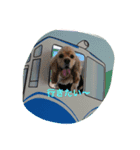 fluffy_dog brother（個別スタンプ：4）