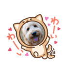 fluffy_dog brother（個別スタンプ：8）
