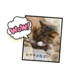 愛しのチェリー君（個別スタンプ：2）