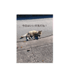 愛しのチェリー君（個別スタンプ：4）