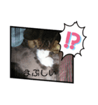愛しのチェリー君（個別スタンプ：6）