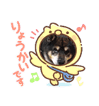 kuloしば（個別スタンプ：8）