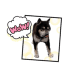 kuloしば（個別スタンプ：13）