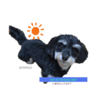 baby dog！（個別スタンプ：2）