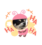 ハピハピスタンプ2（個別スタンプ：1）