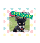 ハピハピスタンプ2（個別スタンプ：3）
