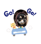 ハピハピスタンプ2（個別スタンプ：7）
