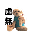 狂犬K＆D（個別スタンプ：7）