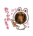ダックス ジェームズ君の日常会話（個別スタンプ：38）