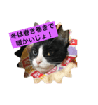 さくら姫の優雅な日々＊冬ver.（個別スタンプ：1）